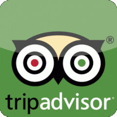 Trip Advisor